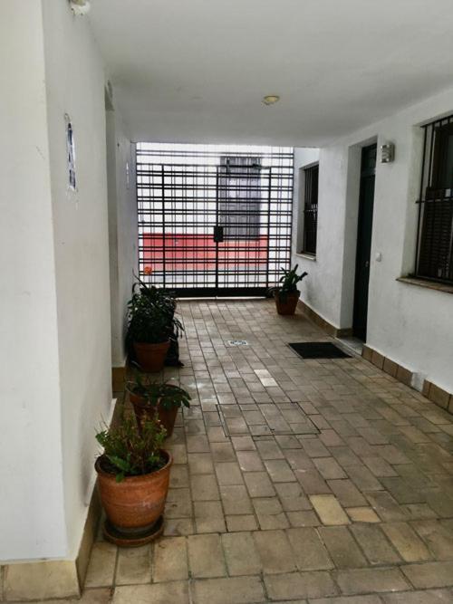 La Terraza Azul Apartment Seville Ngoại thất bức ảnh